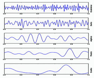 5 types of human brainwaves, based on frequencies.